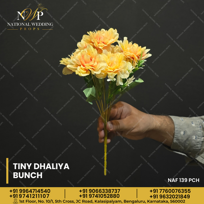 TINY DHALIYA BUNCH